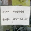 하늘숲 | [서울근교글램핑] 가평 하늘숲글램핑 카라반 내돈내산후기