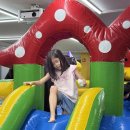 늘품태권도장 이미지