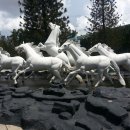 꽁비엔(CONG VIEN) 이미지