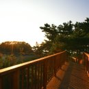 2024 천북 굴축제 이미지