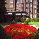 버킹검호텔 이미지