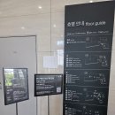 부산현대미술관 무료전시 초등 아이와 다녀온 후기
