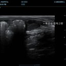 삼화 우수한 동물병원 이미지