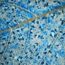 경이의세계 이미지