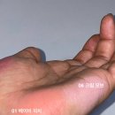 동성문방구 | 꽃 보고 연극 본 6월