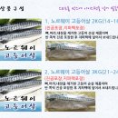 샘물수산 Daum카페