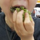 아나고랑 돼지랑 이미지