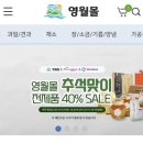 영월-40