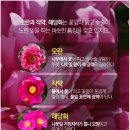 디테일 티스토리