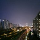 피티나인 이미지