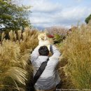 숨도 귤림성 이미지