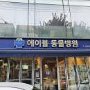 에이블 동물병원 이미지