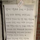 11월 (1)