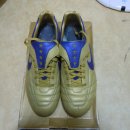 마이다스레전드 이미지