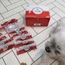 별덴탈 | 우리 아이 입냄새·치석 고민 끝! 기호성 폭발 강아지 덴탈껌 '견사돌' 솔직 후기