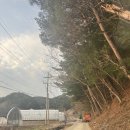 웰리힐리cc에서 10분 거리 숲속의 연인별 펜션 방문 후기