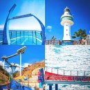 동해수퍼 | 동해 가볼만한곳│도째비골 스카이밸리 &amp; 해랑전망대 &amp; 묵호등대