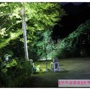 초록빛언덕글램핑 이미지