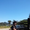 백동무궁화동산 이미지