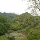 산청덕산광고
