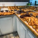 데일리팡 이미지