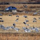 주남저수지 이미지