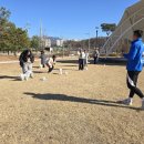 블리스독 이미지