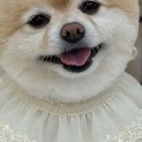 몽개구름 이미지