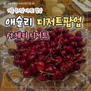 [서울/성동구] 1월 애슐리 퀸즈 체리 디저트 팝업 다녀온 솔직 후기