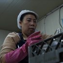 국가대표 태권 스포츠 이미지