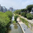 고향칼국수 이미지