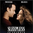 시애틀의 잠 못 이루는 밤 (Sleepless In Seattle, 1993)ㅣ감독:노라 애프론ㅣ출연:톰 행크스,멕 라이언,빌 풀먼,로스 말린저 이미지
