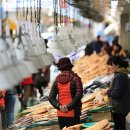 바다건어물 이미지