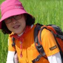 세종주유소 이미지