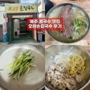 제주터미널맛집 오양손칼국수 후기