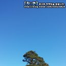 대림슈퍼 네이버블로그