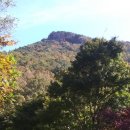 싸리마루 이미지