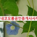 단지내코오롱공인중개사사무소 이미지
