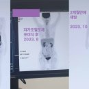 카티 치료 : R-GemOx 반응률과 PET/MRI 판독 요청 (이미지 첨부) 이미지