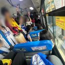 삼성1차(아) | [2024 가을야구 포스트시즌/ 삼성 플레이오프 1차전 라팍 직관 후기] 대구라이온즈파크 좌석 스카이SKY...