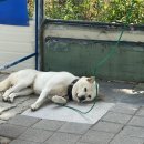 복길농장 이미지