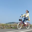 효리네 민박 이미지