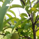 송암농원 이미지