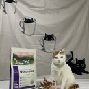 둔둔축산 이미지