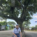 수룡동경로당 이미지