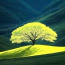 10월 17일 금요일 간추린 뉴스와 날씨 이미지