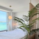 제주도펜션바다너머집 이미지