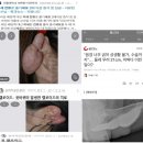 가요감상 좀 me the max 사랑을외치다 스토커들 김필창법음경둘레들이 커버하셨네 서씨 이강호 한씨 육씨 최씨 이미지