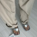 전북대학교자연사박물관 | [공연] 전주 JUMF 2025 일요일 후기