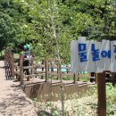데미샘자연휴양림 이미지